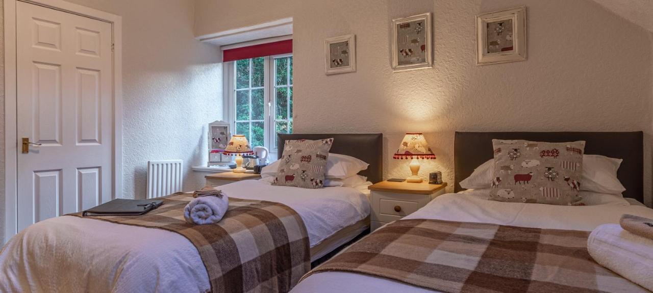 Glyntwrog House Bed and Breakfast Betws-y-Coed Buitenkant foto